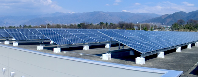 桃の木プロジェクト 山梨